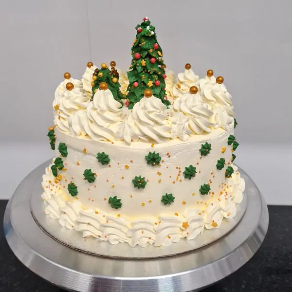 Christmas fancy cake1